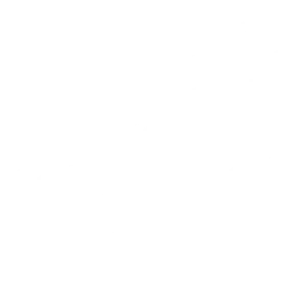 Gutter Cleaning